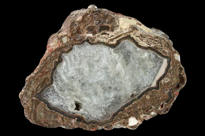 Polished Baker Ranch Thunderegg - New Mexico #162939